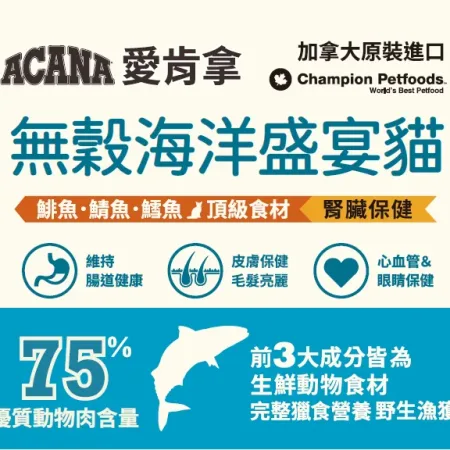 champion 1