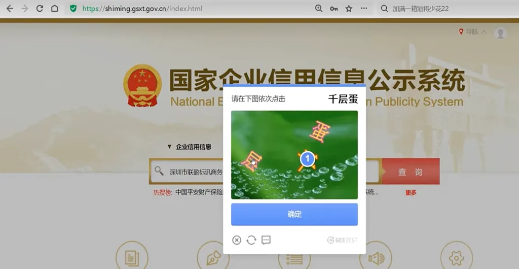 Verification process on NECIPS before accessing Chinese company records